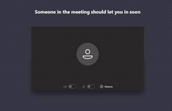 Screenshot of the waiting area until someone lets you into the meeting.